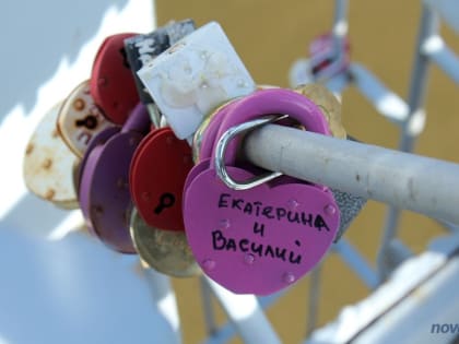 За полгода в Великом Новгороде брак зарегистрировали 705 пар