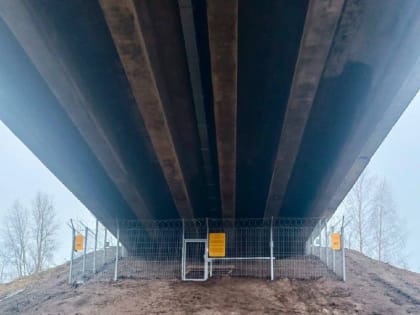 Стратегический объект: два моста в Новгородской области защитили от потенциальных диверсий