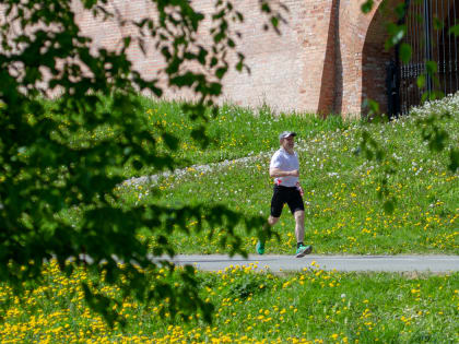 Началась регистрация на «Кросс нации» 2022