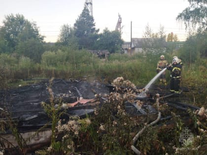 На пожаре в Великом Новгороде погибли два человека