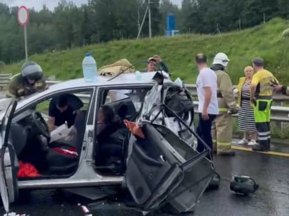 На новгородском участке М-11 из-за слишком быстрого водителя пострадали сразу четверо