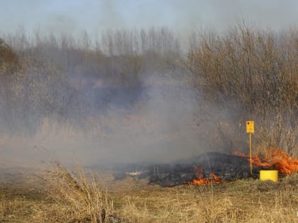 В Новгородской области установлен особый противопожарный режим