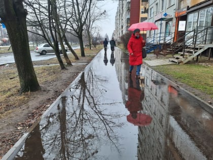 Новгородцам рекомендуют не убирать далеко зонтики и в среду