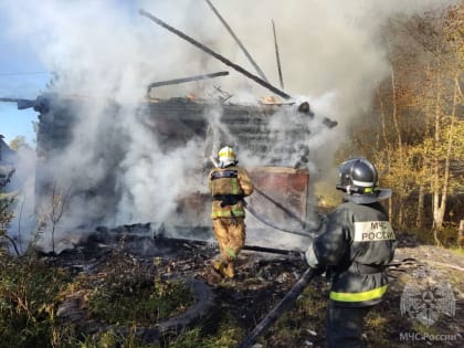 В Новгородском районе на пожаре погиб человек