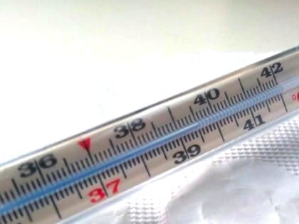 Новгородский Роспотребнадзор отметил незначительный рост по гриппу и ОРВИ