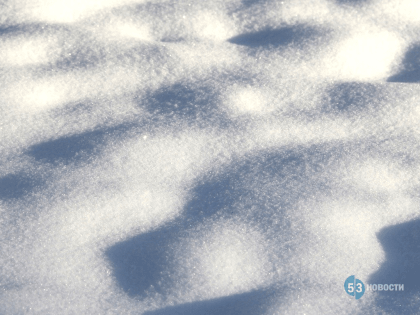 Жителей Новгородской области предупредили о сильном снегопаде