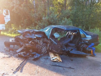 В Старорусском районе по вине пьяного водителя погиб ребёнок