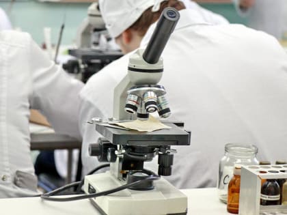 Исследование роли метасимпатической нервной системы в обезболивании