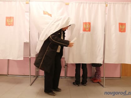 Явка на выборах губернатора составила 19,24% по итогам второго дня голосования