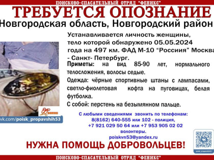 Новгородцев просят помочь в опознании погибшей на трассе М-10 женщины