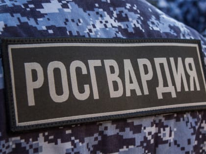 Новгородские росгвардейцы за прошедшую неделю пресекли 13 административных правонарушений