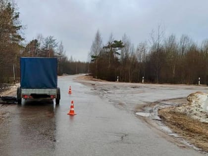 В Любытинском районе сбили водителя мопеда