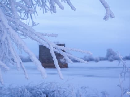 МЧС предупреждает новгородцев о сильном снегопаде