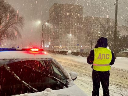Новгородских водителей попросили перестроиться на безопасный стиль вождения