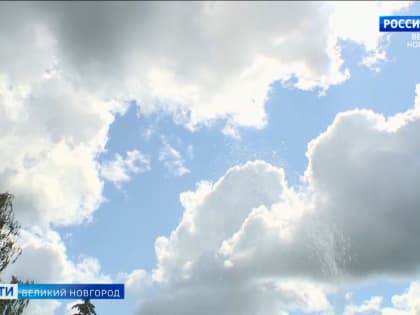 Новгородские синоптики прогнозируют: жары на следующей неделе ждать не стоит