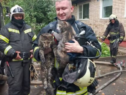 Поддержите новгородского спасателя, номинированного на международную премию «Мой ласковый и нужный зверь»