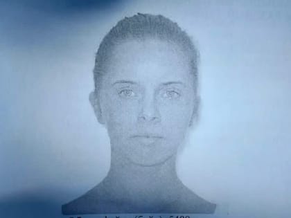 В убийстве петербурженки в Валдае подозревают ранее судимого местного жителя