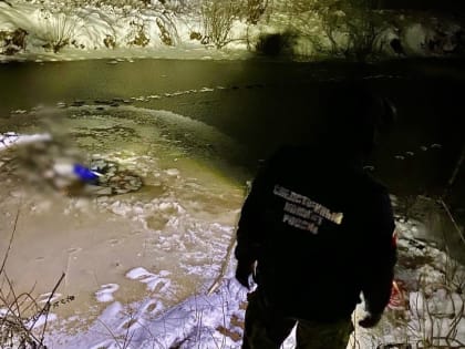 Рыбак утонул в реке Каменка в Старорусском районе