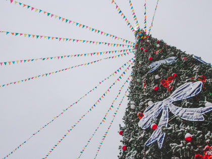 В канун Нового года новгородцев ожидает мокрый снег и гололедица
