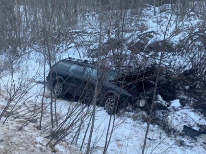 В Демянске ночью насмерть сбили женщину