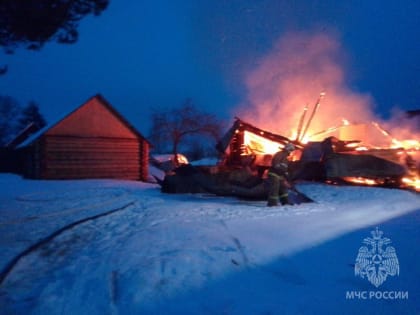 В Новгородском районе потушили пожар в деревне, в которую можно добраться только через пешеходный мост