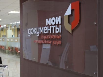 В подразделениях МФЦ Новгородской области оказываются 30 государственных услуг ФНС России