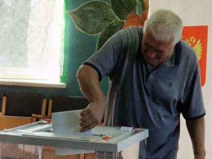 Выборы в Новгородской области: явка и наблюдение