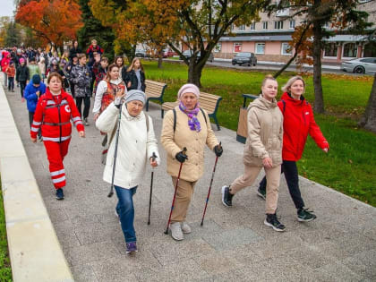 Более 500 новгородцев приняли участие во Всероссийском дне ходьбы