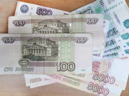 Финансовая грамотность: успехи новгородцев на онлайн-зачете