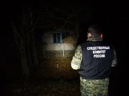 На пожаре в Старорусском районе погиб пенсионер