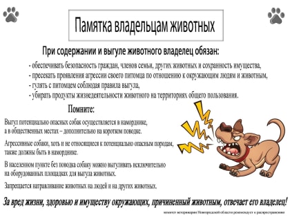 ПАМЯТКА  О ПОРЯДКЕ ДЕЙСТВИЙ ПРИ ОБНАРУЖЕНИИ БЕЗНАДЗОРНЫХ ЖИВОТНЫХ