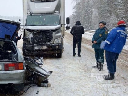 В Окуловском районе пассажирка ВАЗа погибла в ДТП