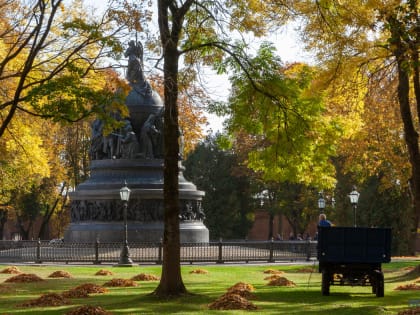 Переменная облачность ожидает новгородцев в четверг