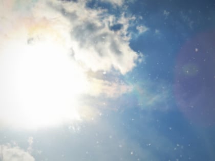 В Новгородскую область вернётся 30-градусная жара