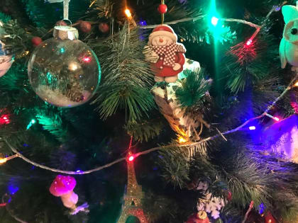 Новгородцам рассказали, как безопасно встретить Новый год