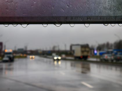 В плюсе: последняя неделя декабря 2024 года может запомниться новгородцам теплом и лёгким дождём