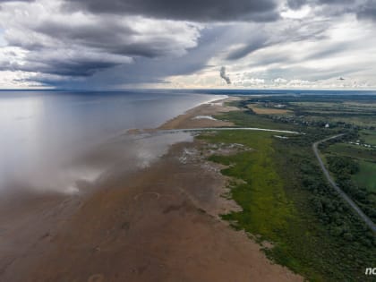 В Новгородской области ожидается усиление ветра