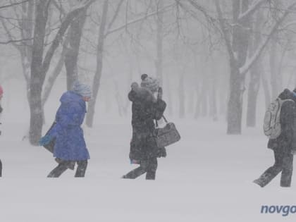 Послезавтра в Новгородской области ожидается мокрый снег