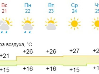 Новгородцам рассказали, когда закончится дождливая погода