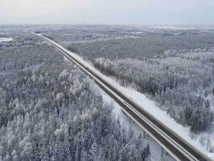 На дорогах Новгородской области в прошлом году погибло 90 человек