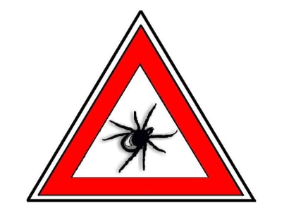 Необходимость обработки жилых домов от клещей и грызунов в Великом Новгороде