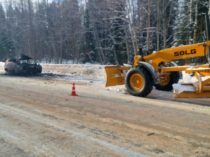 В Мошенском районе в загоревшемся автомобиле погиб водитель