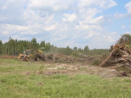 Новгородская область получит более 8 млн рублей на субсидирование мелиоративных работ на землях сельхозназначения