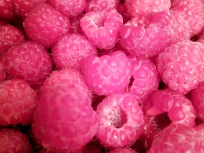 Детский эндокринолог объяснила, что такое пищевое безобразие