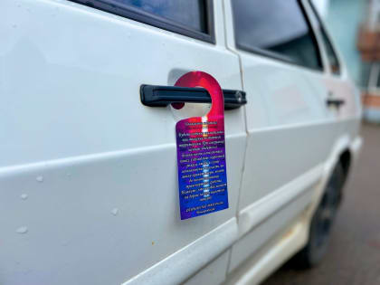 В Новгородском районе насмерть разбился пожилой водитель «Лады»