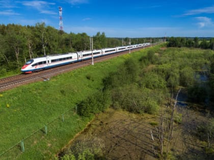 Политолог Дмитрий Солонников рассказал о важности начала строительства ВСМ для Великого Новгорода