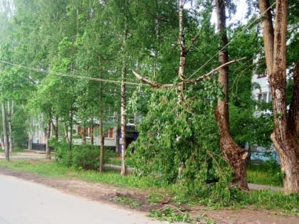 Энергетики Новгородской области перешли в режим повышенной готовности