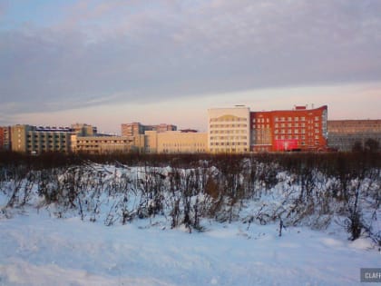 Общественный совет парка Юности обратился к мэру Великого Новгорода