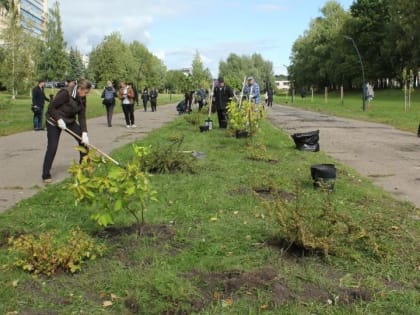 В сквере на Гзени высадили саженцы кустарников и деревьев