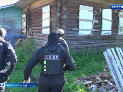 Пестовский районный суд вынес приговор в отношении жителя Санкт-Петербурга, обвиняемого в организации преступного сообщества